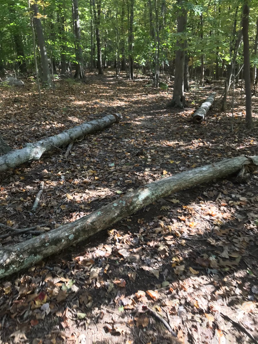 Alex Rydelek tweet media