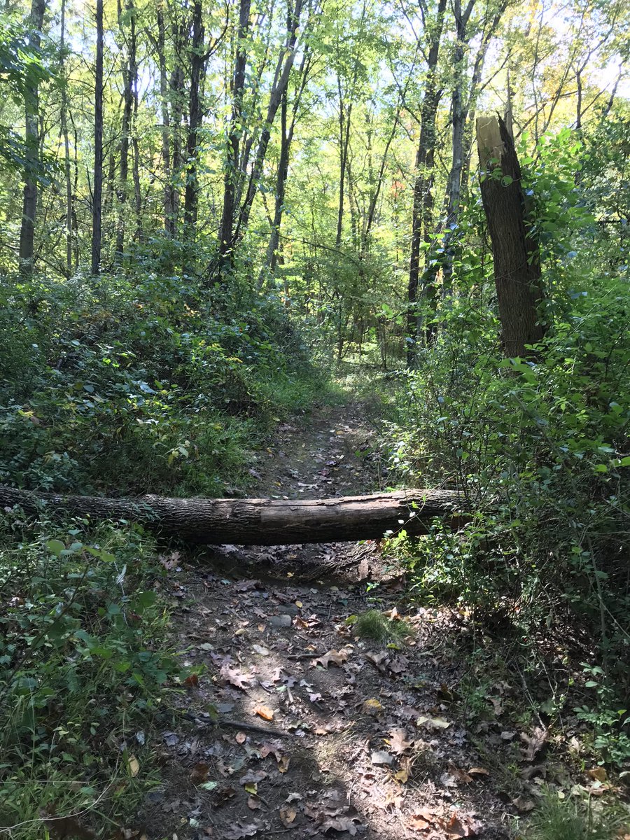 Alex Rydelek tweet media