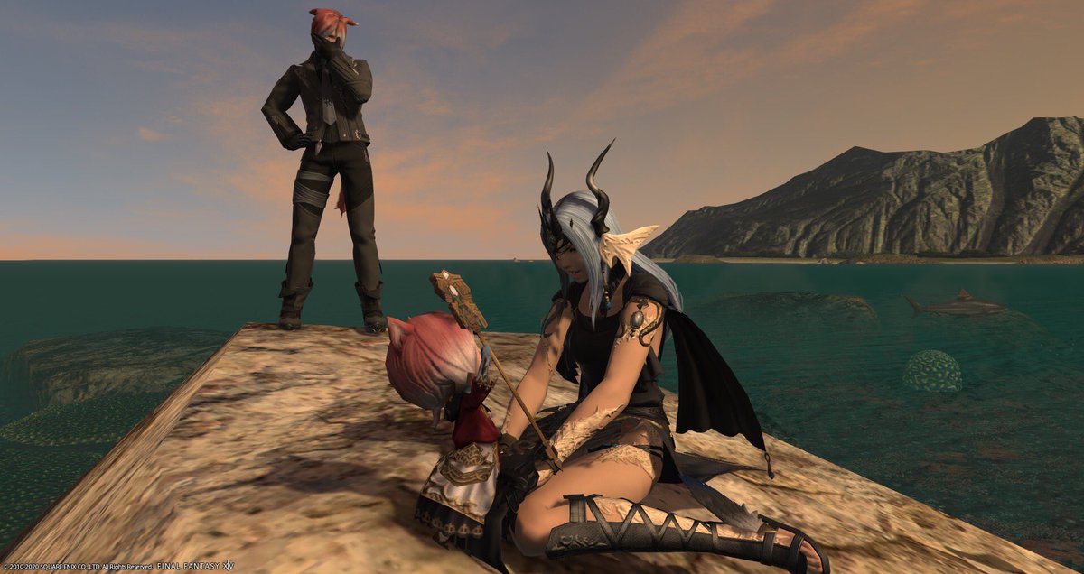 evie 💎🐱 tweet media