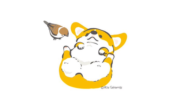 うんしょ、うんしょ

今日は元々体育の日だったので、前転後転を頑張るコーギーと応援するスズメたち
#corgi #コーギー 