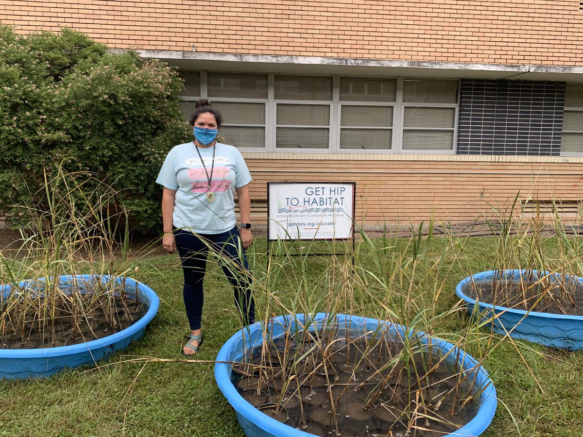 It’s been a minute but I’m excited for my Env. Sys. Classes to participate in <a href="/GBayFoundation/">Galveston Bay Foundation</a>’s #gethiptohabitat program this year! Thank y’all so much for delivering ALL THE SPARTINA to <a href="/SamRayburn_HS/">Sam Rayburn High School</a> #wetlandsareimportant #imsmilingipromise 😂