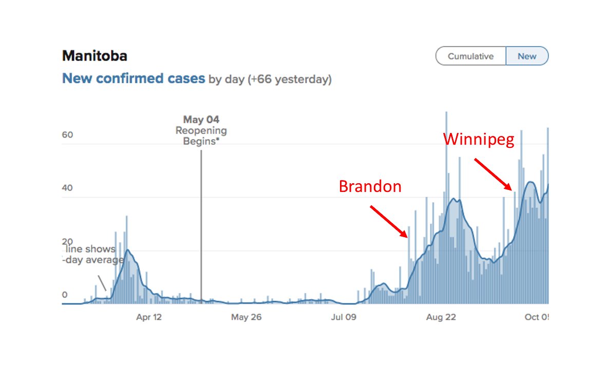 Another interesting development in Canada is the second localized fall wave in Manitoba, now focussed in Winnipeg, after a Brandon/Prairie Mountain centered outbreak was brought under control. The graphic is from CTV Manitoba, annotation is added.