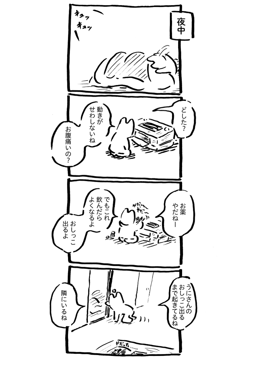 うにさんと私(259-268) #漫画 #ハムスター #4コマ #4コマ漫画 #エッセイ #うにさんと私 #創作 #オリジナル https://t.co/xLSZsPVpZk 