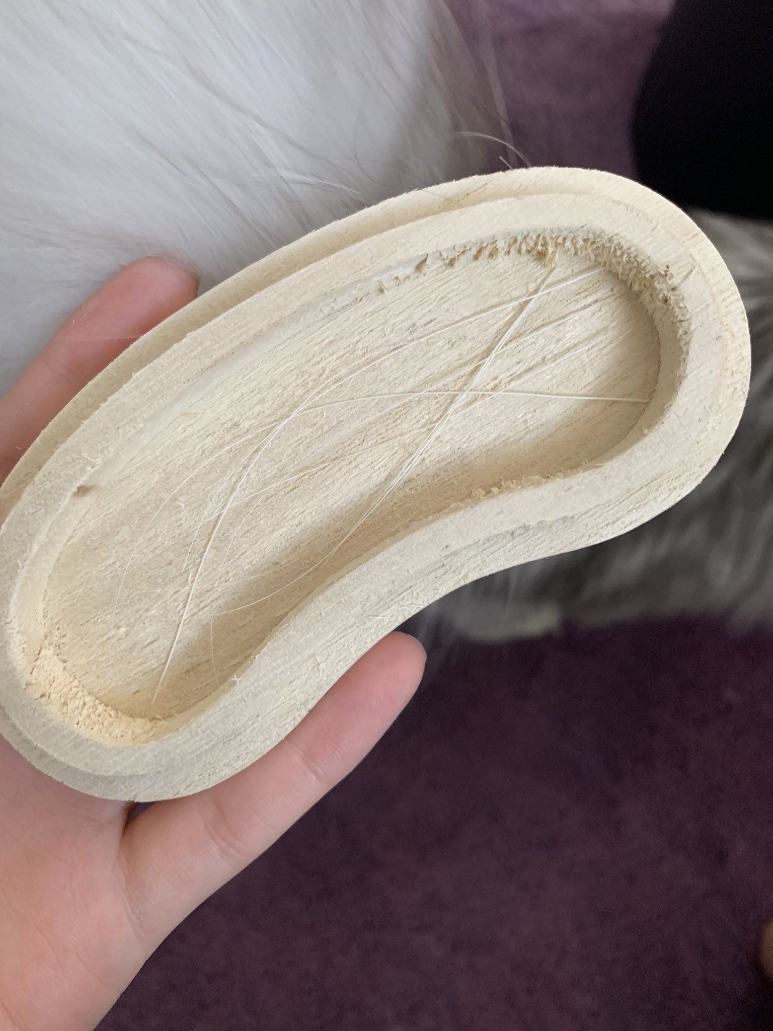 りこぴん スリコで売ってた猫のヒゲ専用ケースがめちゃくちゃ良い 感動 3coins スリーコインズ りこぴん スリコで売ってた猫のヒゲ専用ケースがめちゃくちゃ良い 感動 3coins スリーコインズ
