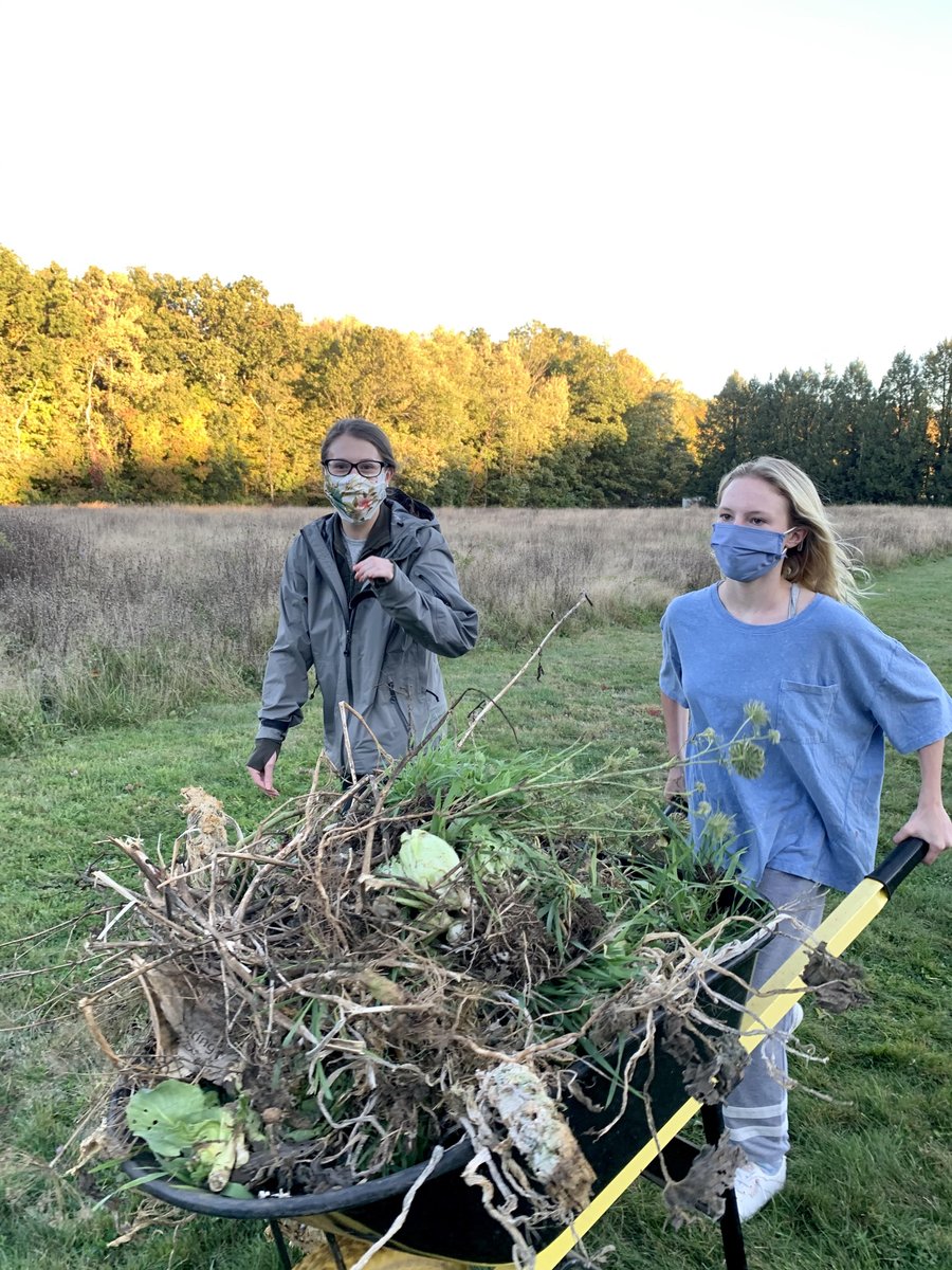 key_bethel's tweet photo. This week, we volunteered at the Giving Garden! The Giving Garden provides food for local pantries in need. We removed plant waste from the garden and helped dispose of it. Here are some pics! #bhs #bhskeyclub #keyclub https://t.co/2so1PDqD9X