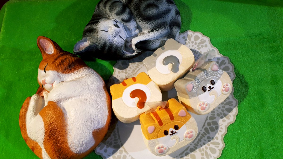 エンジェルキャット（MOOOSH限定） | アイテム | 株式会社ブルーム