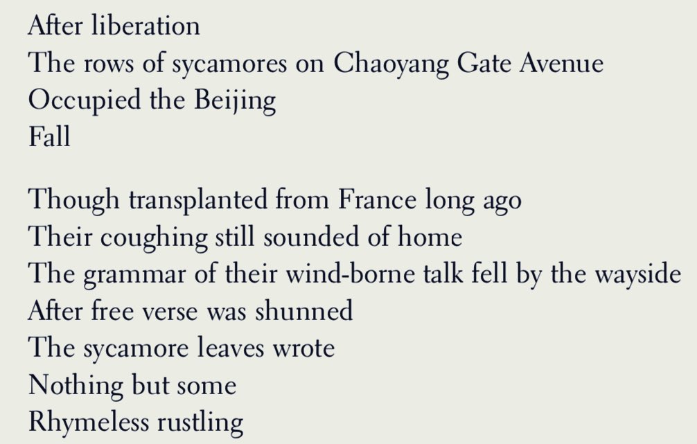 66. ‘Beijing Sycamores’ by Luo Fu— translated by John Balcom