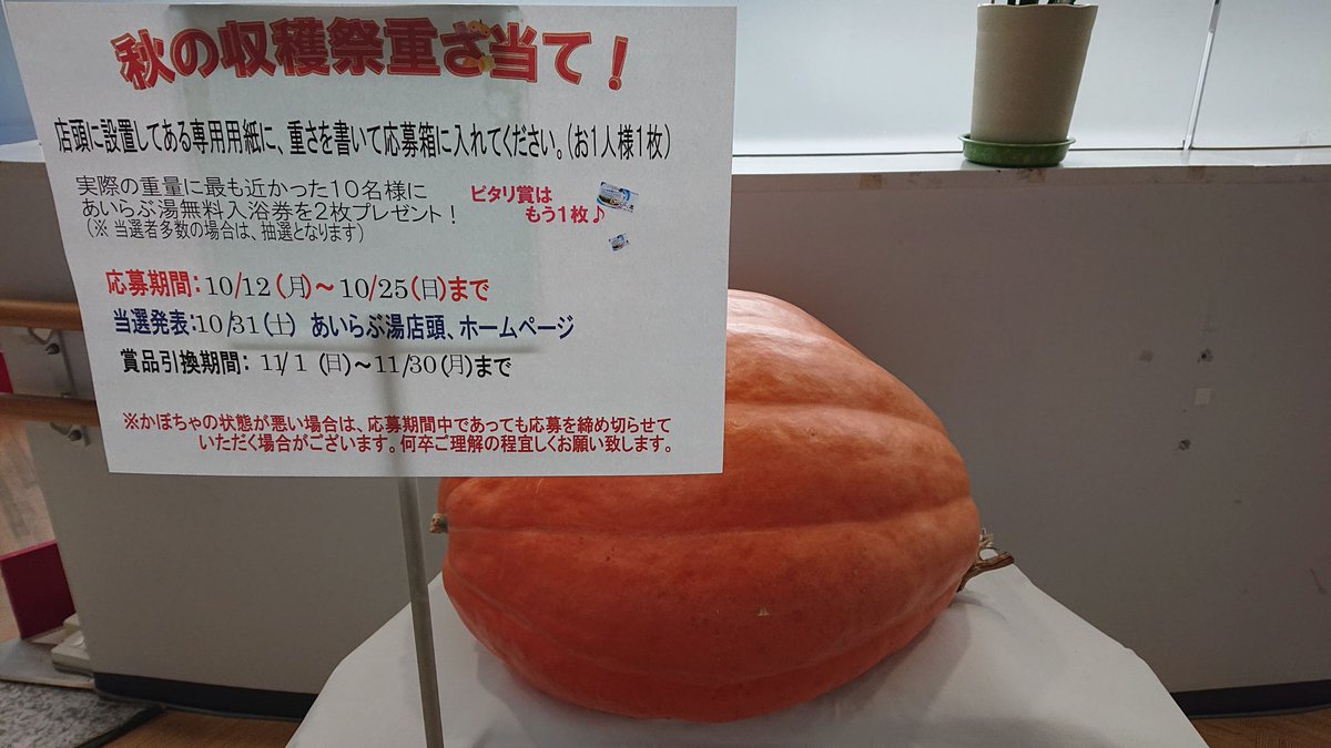 滑川市民交流プラザ ハロウィンイベント かぼちゃの重さ当て 10月12日 10月25日の間 かぼちゃの重さ 当てイベントを実施します 実際の重量に最も近かった10名様に無料入浴券を2枚プレゼント 皆様是非 ご参加ください 滑川市民交流プラザ ハロウィンイベント かぼちゃの重さ当て 10月12日 10月25日の間 かぼちゃの重さ 当てイベントを実施します 実際の重量に最も近かった10名様に無料入浴券を2枚プレゼント 皆様是非 ご参加ください