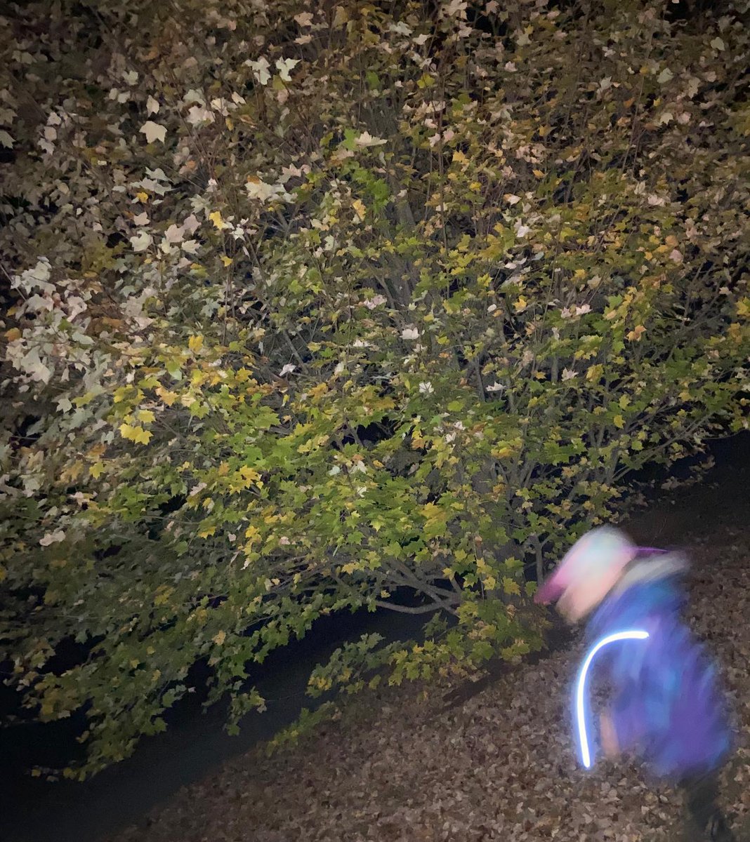 MattForrestVW's tweet photo. One might say it was a...โFlashlight Night.โ ๐ #NewHampshireLife #RuralLiving #CountryLife #FlashlightNight #FlashlightTag #Parenting https://t.co/64UMoUDuxU