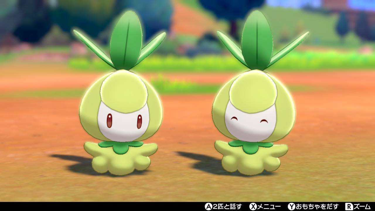 Twitter 上的 Black ポケモン剣盾 チュリネかわいい ｗ ドレディアもっとかわいい ｗ ｗ T Co Dgpirw6nkc Twitter