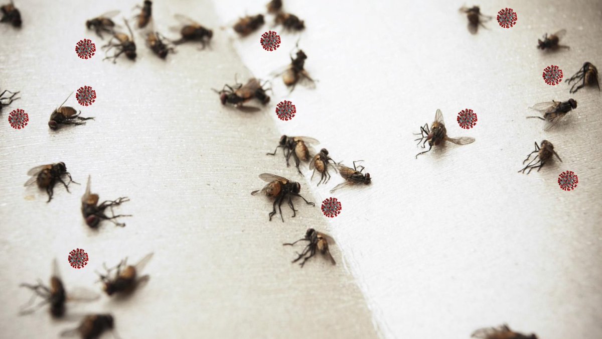 pencesfly tweet media