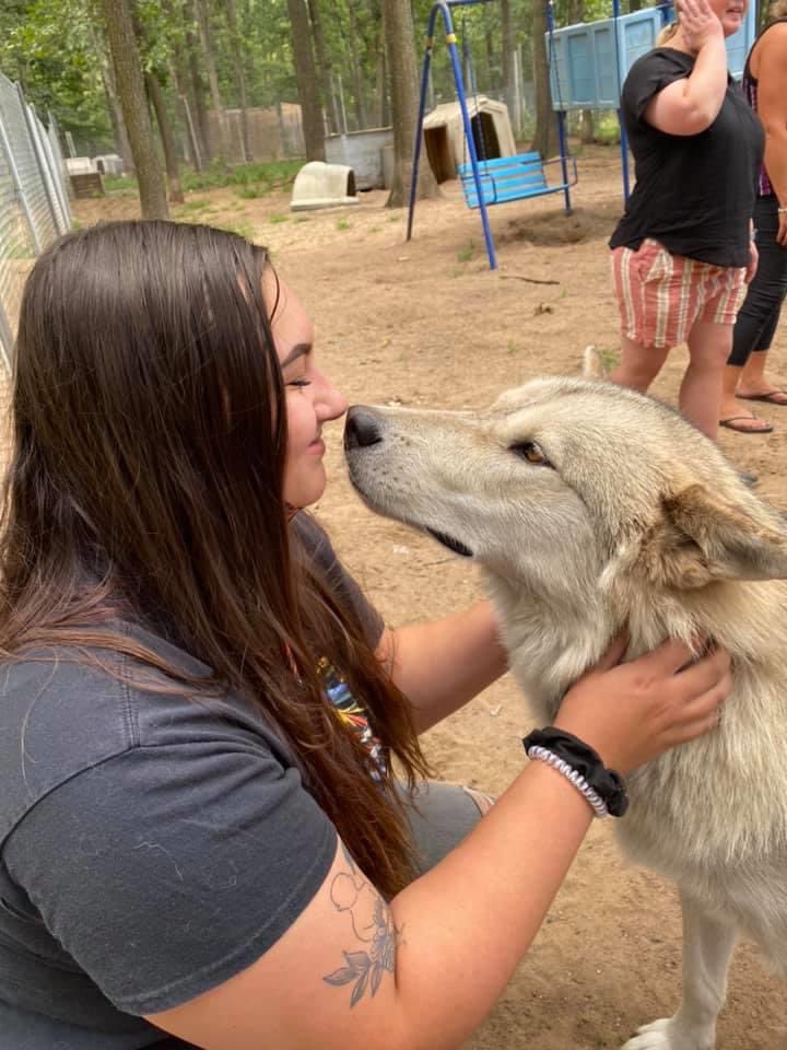 I just found this thread today, so let's add coyotes, foxes, and more wolves howling timbers, MI