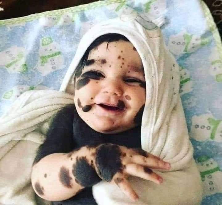 Shk Zada tweet media