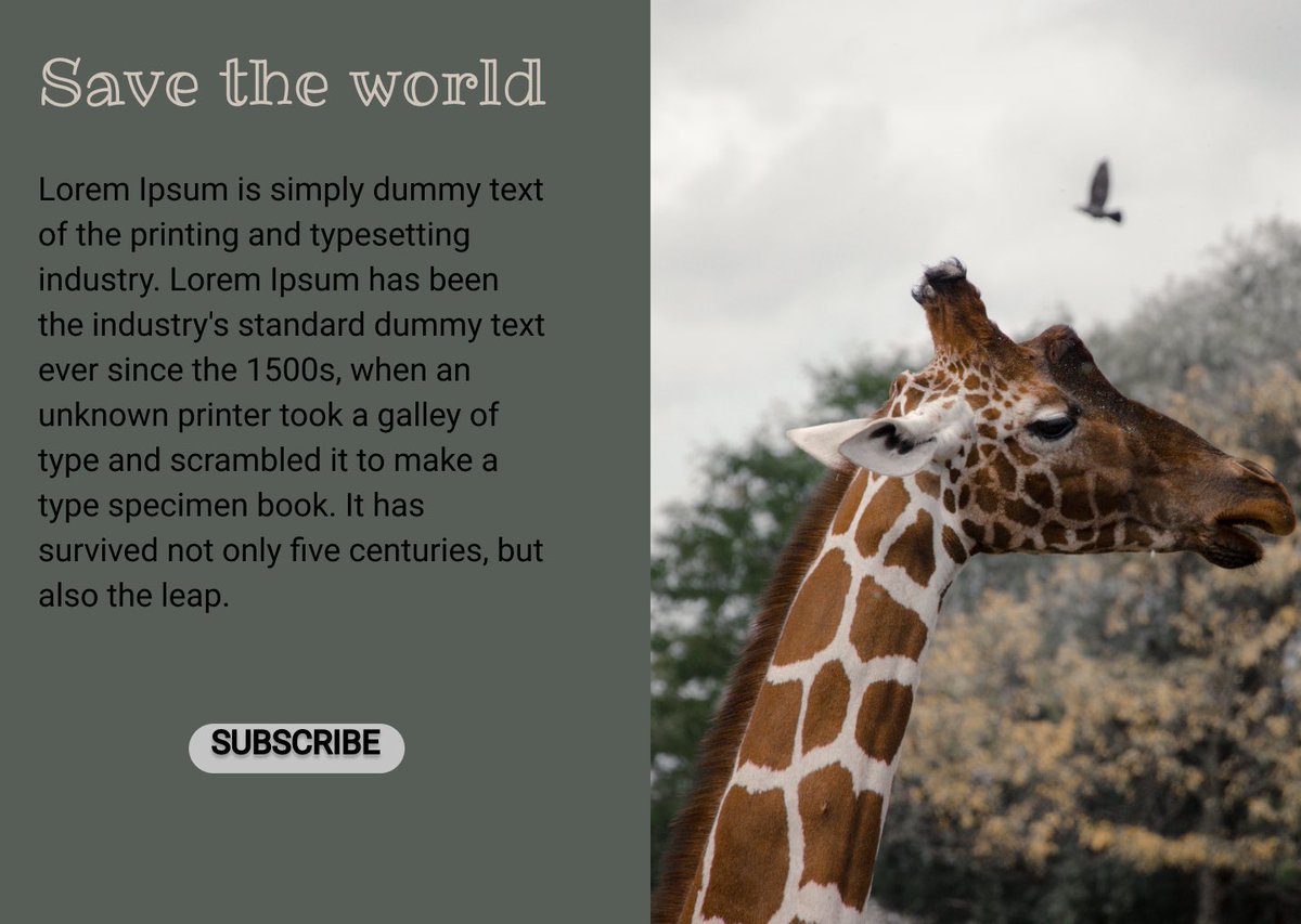 projectb98's tweet image. I’m trying some web design stuff. If you see this are you clicking it? Yes or no? Why?
You subscribing to this newsletter?