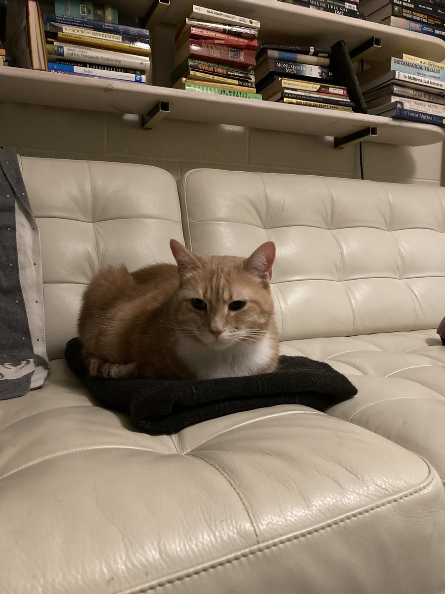 Sakina Shibuya tweet media