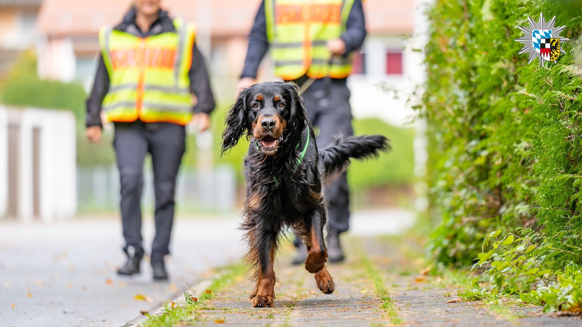 PolizeiMFR's tweet photo. #Welttag des #Hundes am 10. #Oktober 2020
Der beste Freund des Menschen – mit seiner #Spürnase täglich für uns im #Einsatz. Wir sagen Danke!
#Policedogs #WorldDogsDay https://t.co/hnUB10km29