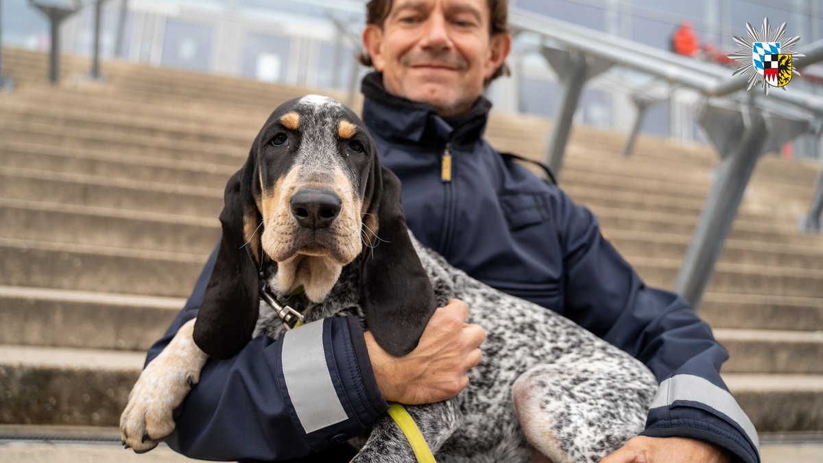 PolizeiMFR's tweet photo. #Welttag des #Hundes am 10. #Oktober 2020
Der beste Freund des Menschen – mit seiner #Spürnase täglich für uns im #Einsatz. Wir sagen Danke!
#Policedogs #WorldDogsDay https://t.co/hnUB10km29