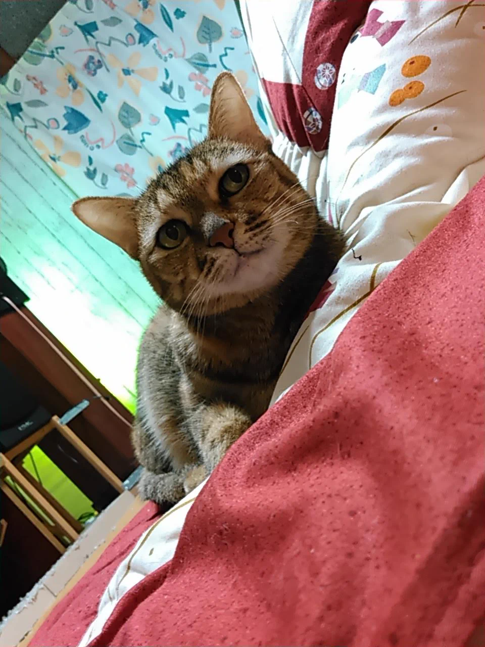 @FinOji_ch 待ち遠しい。。 