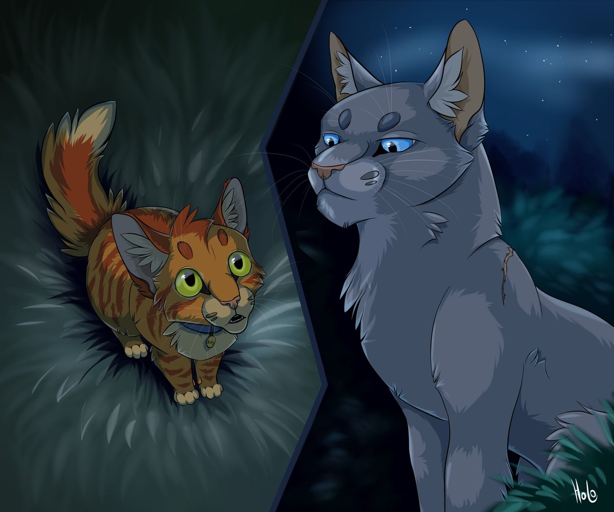 Bluestar  Warrior cats, Warrior cat, Feral cats