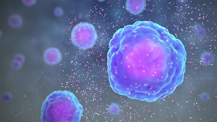 wef's tweet photo. Inflammation: the key factor that explains vulnerability to severe COVID https://t.co/dlcpS4carc #covid19 #coronavirus https://t.co/UESB2t7cip