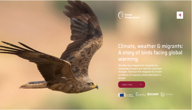 RandbeeCo's tweet photo. We are excited to announce the launch of the new #Copernicus #ClimateChange Service app which demonstrates the long-term spatial effects of #ClimateVariations on #MigratoryBirds! #WorldMigratoryBirdDay  
#WMBD2020 

➡️ https://t.co/h3Zl0gtjEt

@CopernicusECMWF 
@FundacionMigres https://t.co/2hBhb3FYOD