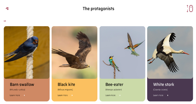 RandbeeCo's tweet photo. We are excited to announce the launch of the new #Copernicus #ClimateChange Service app which demonstrates the long-term spatial effects of #ClimateVariations on #MigratoryBirds! #WorldMigratoryBirdDay  
#WMBD2020 

➡️ https://t.co/h3Zl0gtjEt

@CopernicusECMWF 
@FundacionMigres https://t.co/2hBhb3FYOD