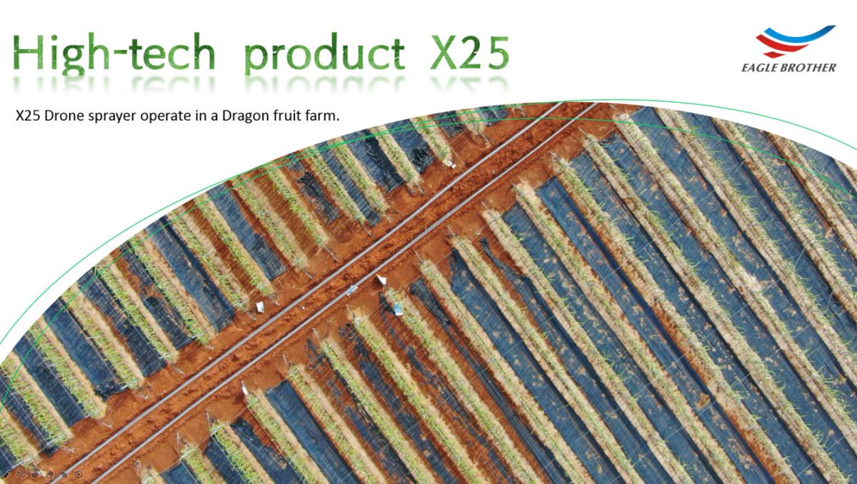 Do you like dragon fruit? Now let's go to the dragon fruit farm to see how to grow it. #Dragonfruit #Dronesprayer