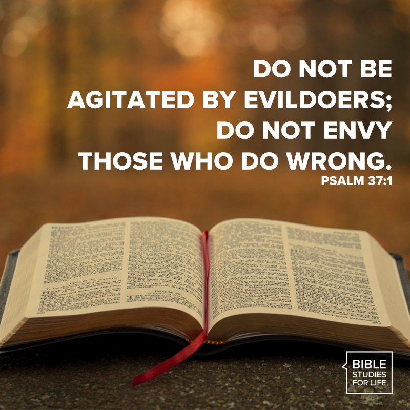 BibleMeetsLife tweet media