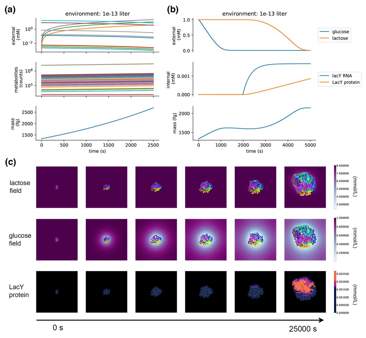 Entropy_MDPI's tweet photo. #mdpientropy A Multi-Scale Approach to Modeling E. coli Chemotaxis https://t.co/HFJZNrxnGk

#Escherichiacoli
#chemotaxis
#computationalsystemsbiology
#modelintegration https://t.co/pIOX3fImtw