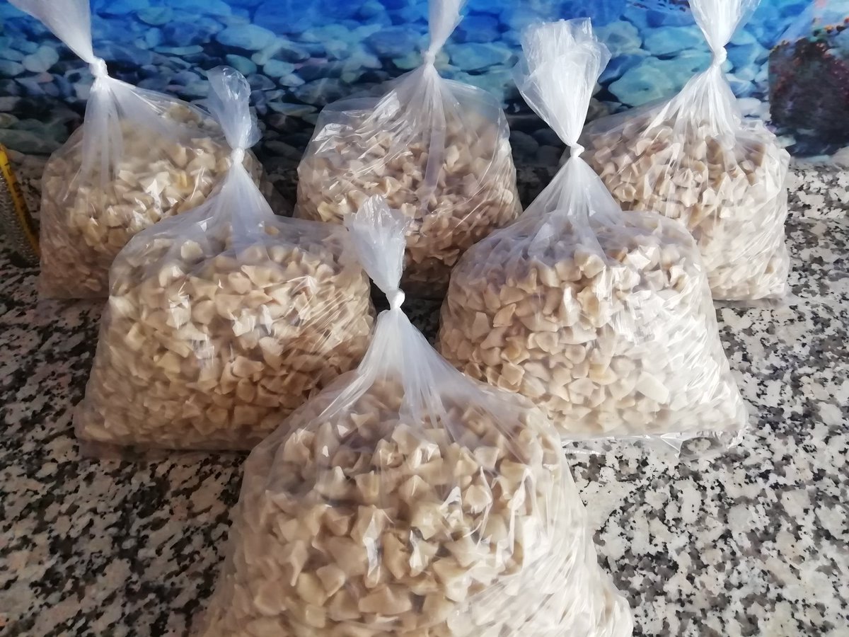 İnsanin zor zamanlarda yanında en büyük destekçisi eşinin olması dünya huzuru adına en büyük nimettir. Değerli eşim varlığın için teşekkür ederim.🥰🥰🥰
Eşimin bir günlük el emeği gördüğünüz mantı lar....
Kendileri bol fav ve rt bekler.👍👍
Mahcup etmeyin güzel insanlar.😉😉😉