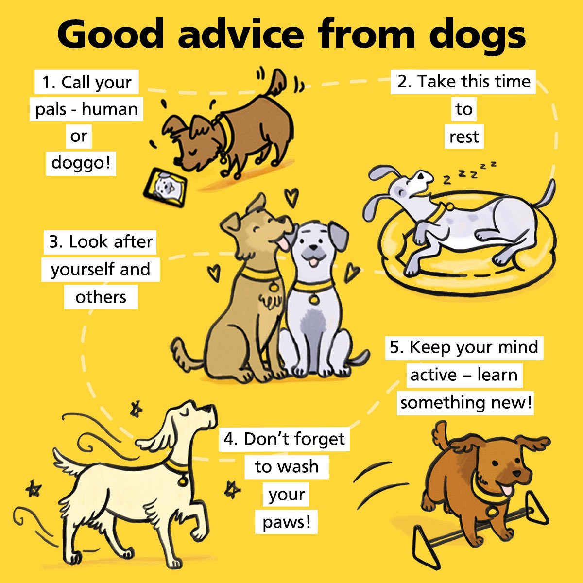 Our lovely doggos have some great advice for #WorldMentalHealthDay  🐶💛