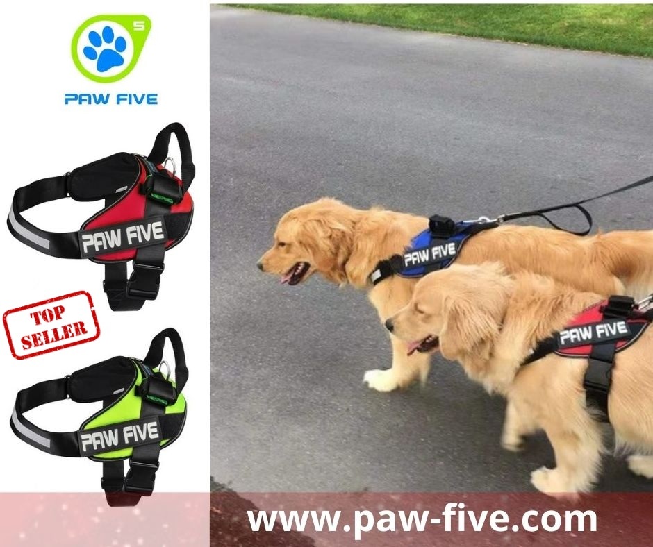 paw five harness