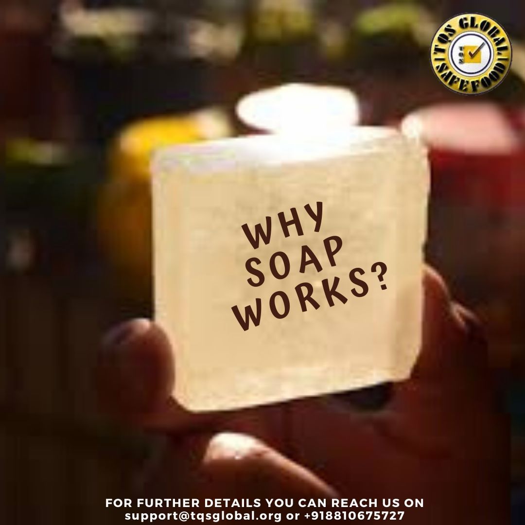 TQSINDIA's tweet photo. Who had thought that a time would come when a virus of size – 0.125 microns approx, will bring the world to a standstill. And the remedy will be found in going back to the basics – washing hands with soap.
Why Soap Works
https://t.co/KPfF5IetA5 https://t.co/r1sPTBatjZ