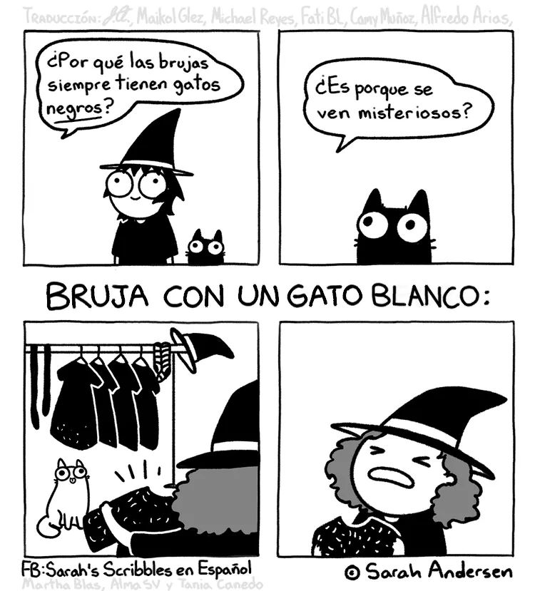 CosasdeGatosweb's tweet photo. https://t.co/rEBNIuXtDc