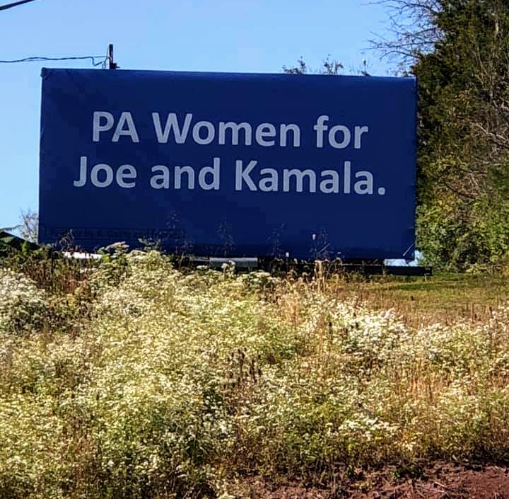 MarianneCather4's tweet photo. #BackToBluePA 
#JoeBiden 
#pawomenforbiden 
#flywillvote 
#Kamala4VP https://t.co/6EquI6JYzJ
