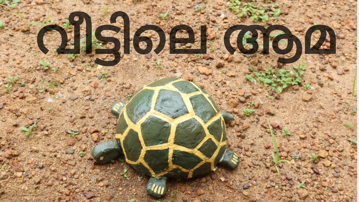 anaghabalakris's tweet image. Tortoise with Coconut Shell and Homemade Clay

youtu.be/YWTrI1JFG2A

Please do watch and support

DM for orders...🤗

#diy #homemadeclay #coconutshellcraft #handcraft #simplecraft #handmade #tortoisemaking #easycraft #anaghabalakrishnan #Malayalam