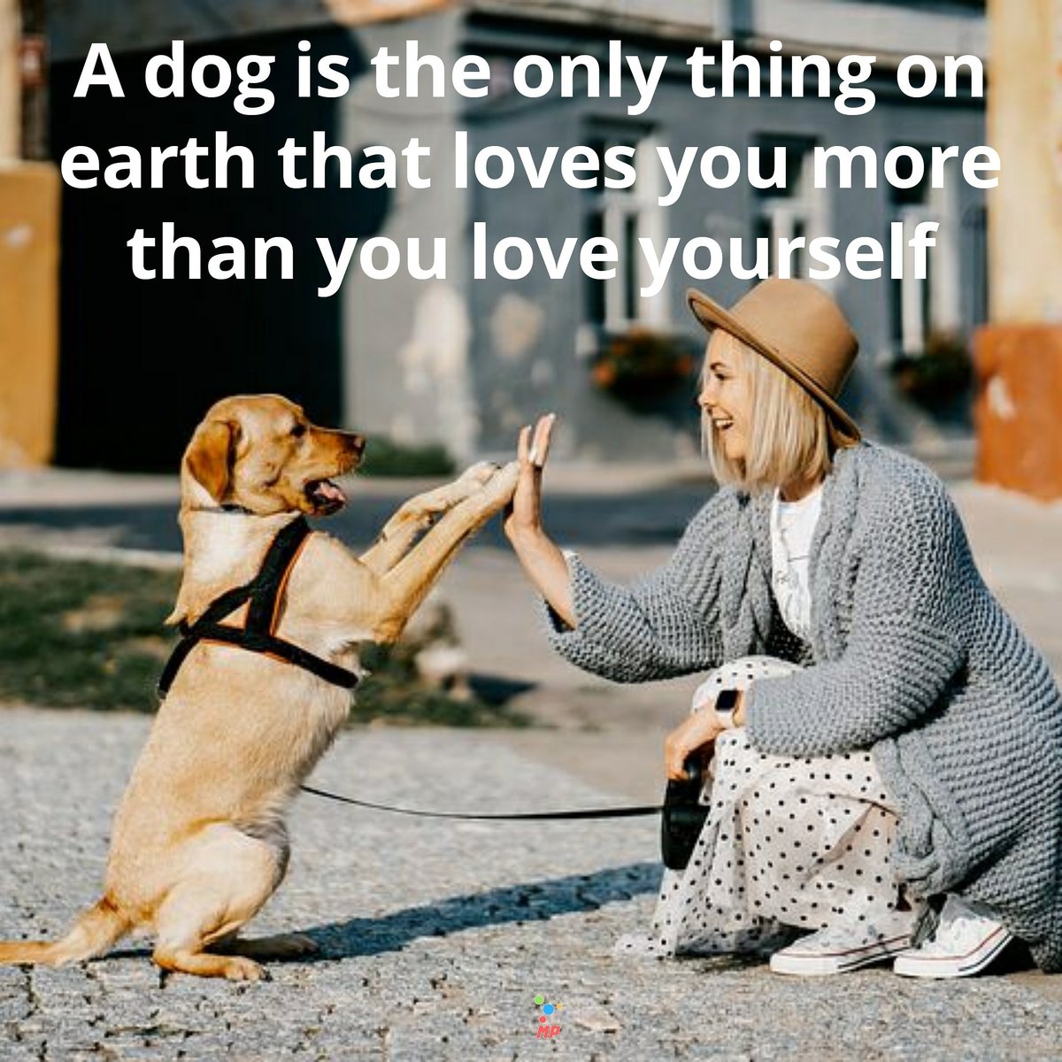 MotivationPlans's tweet photo. #motivational_plans #SaturdayMood #SaturdayThoughts #SaturdayMotivation #SaturdayVibes #Dog #doglovers https://t.co/q4Rz3SyKZ7