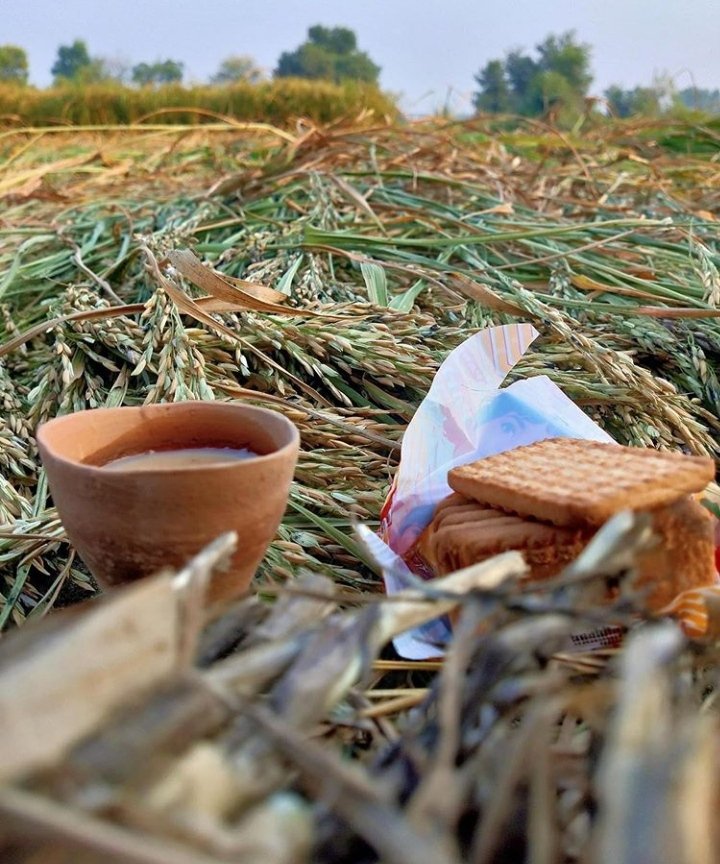 Satishpatel2000's tweet photo. .
यहाँ खुशबू है वादियों में,
यहाँ खुशबू है लोगो क़े किरदारों में । https://t.co/WWfLO9sLAo