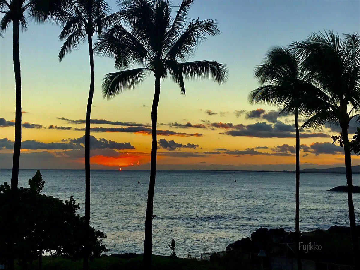 hawaiifujikko's tweet photo. 🌴Hawaii Sunset.•*¨*•.¸¸♪
　..........❦..........❦......... https://t.co/yatgmhHlUp
