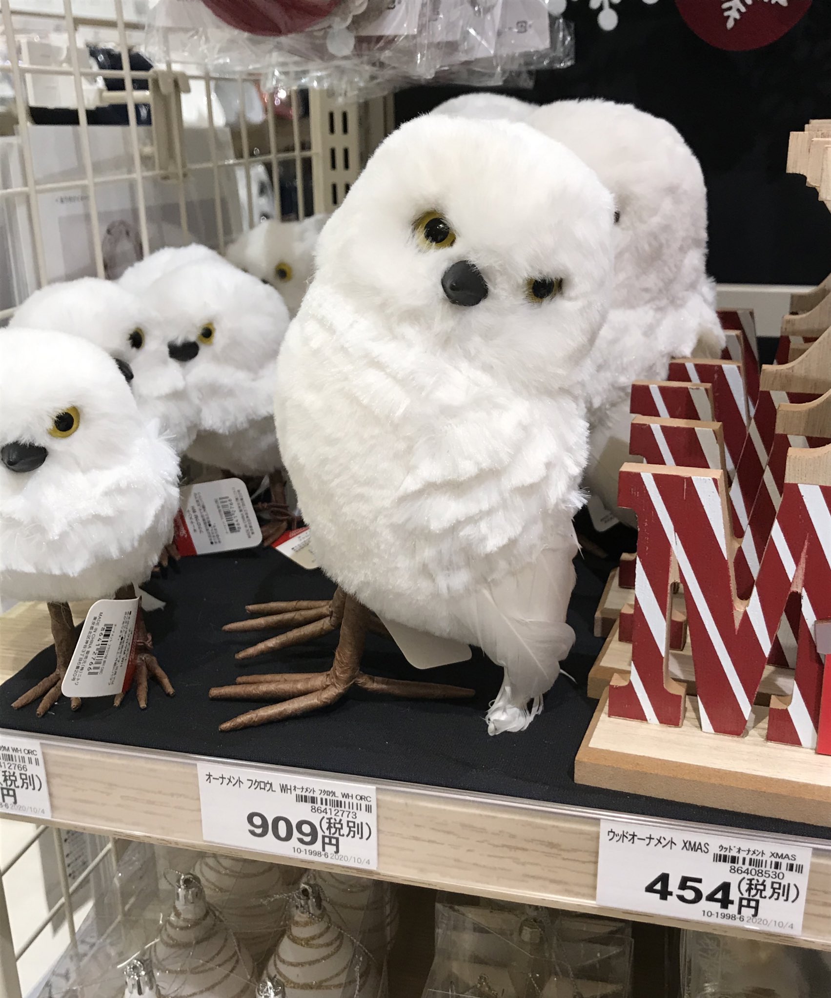 値下げ可 ニトリ ぬいぐるみ フクロウ funleucemialinfoma.org