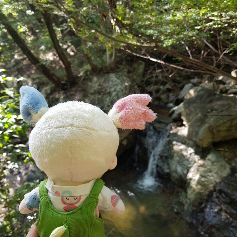 여캐인형홍보쟁이(캐롤빵, 나타샤벳, 퀸젤리) tweet media