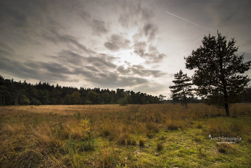 Goedemorgen! 
#weekendleesvoer voor de één nieuw en voor de ander in de herhaling : fotografietips voor in de herfst. mrtfotografie.nl/fotografietips…
Fijn weekend, doe voorzichtig en #StaySafe 🍃🍁🍃🍄🙋‍♀️