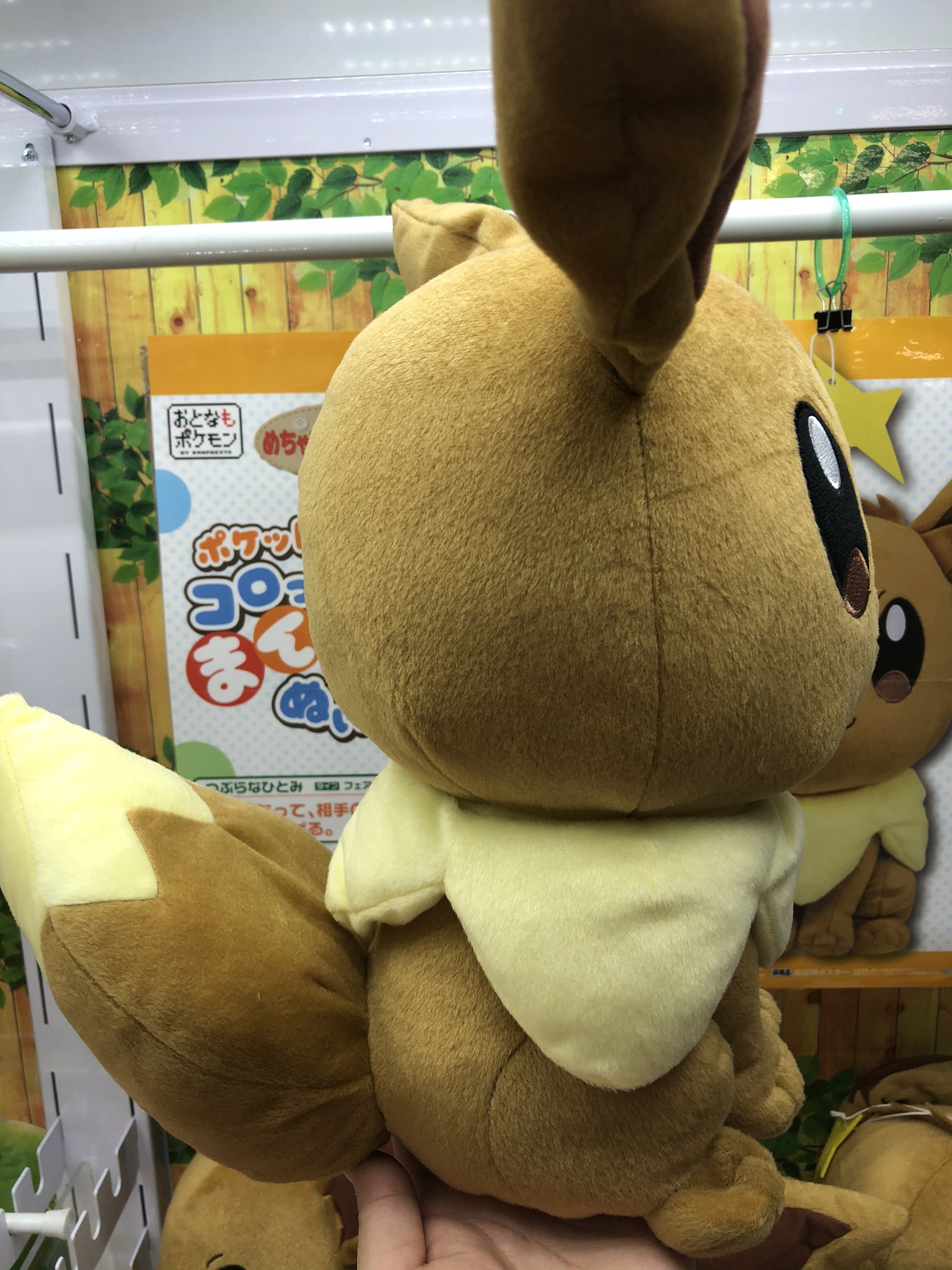 マンガ倉庫日向店アミューズ ポケットモンスター めちゃでかコロッとまんまるぬいぐるみ つぶらなひとみ イーブイ 入荷しましたー つぶらなひとみでやられる 大きくてボリューミーです ポケットモンスター イーブイ ポケモンぬいぐるみ