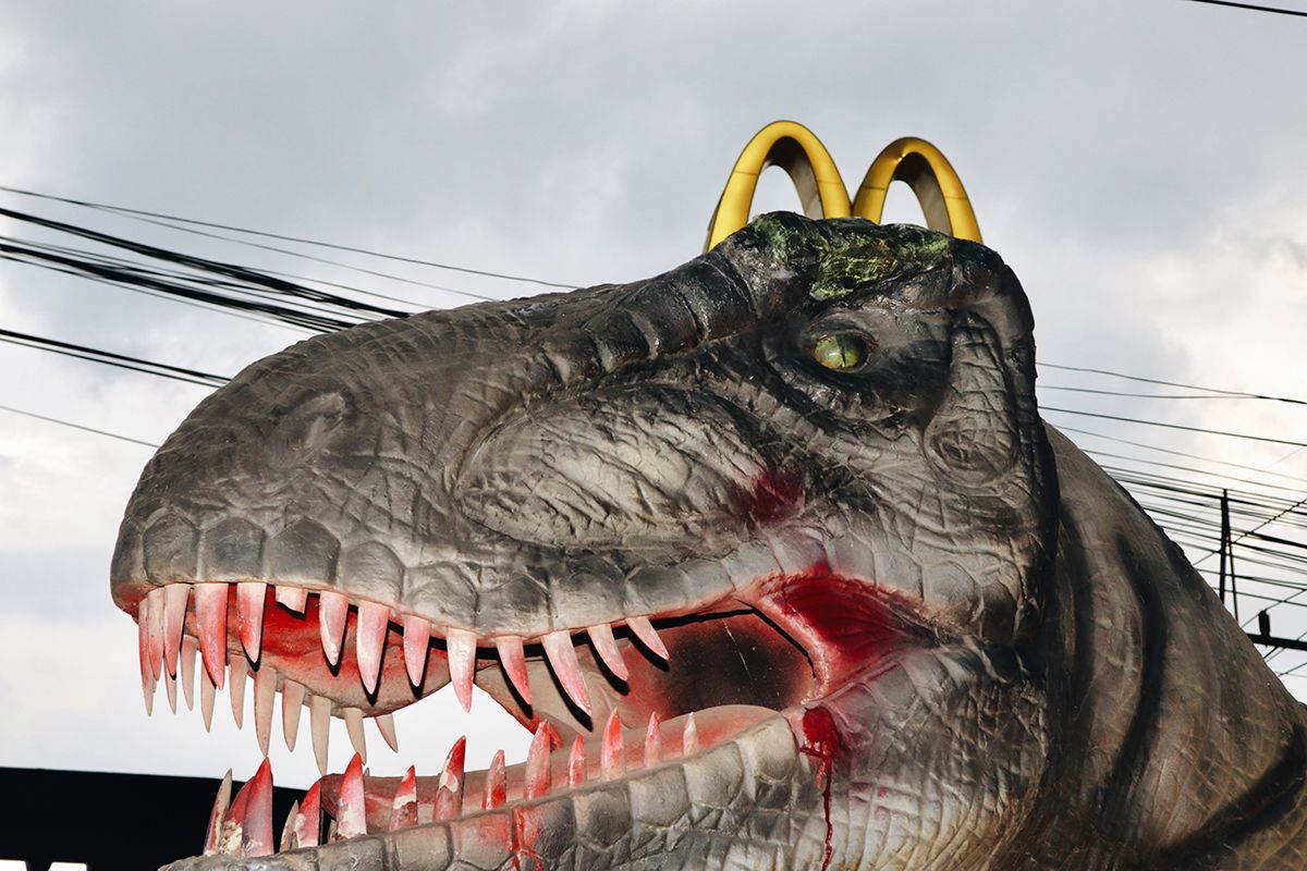 der Freitag tweet media