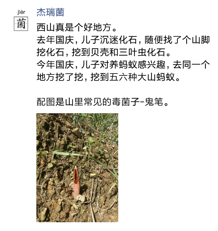 Jerrymice 鼠老板的国庆进山经历 遇到常见毒菌子 鬼笔 不过看着像克苏鲁神话跑出来的小萌新 T Co Vgrv7w29jv Twitter