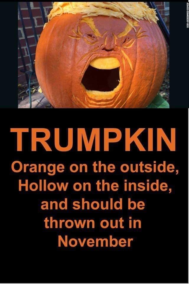 dianeeliz's tweet photo. Made me chuckle @Jan180 https://t.co/gpQv0rWjgH