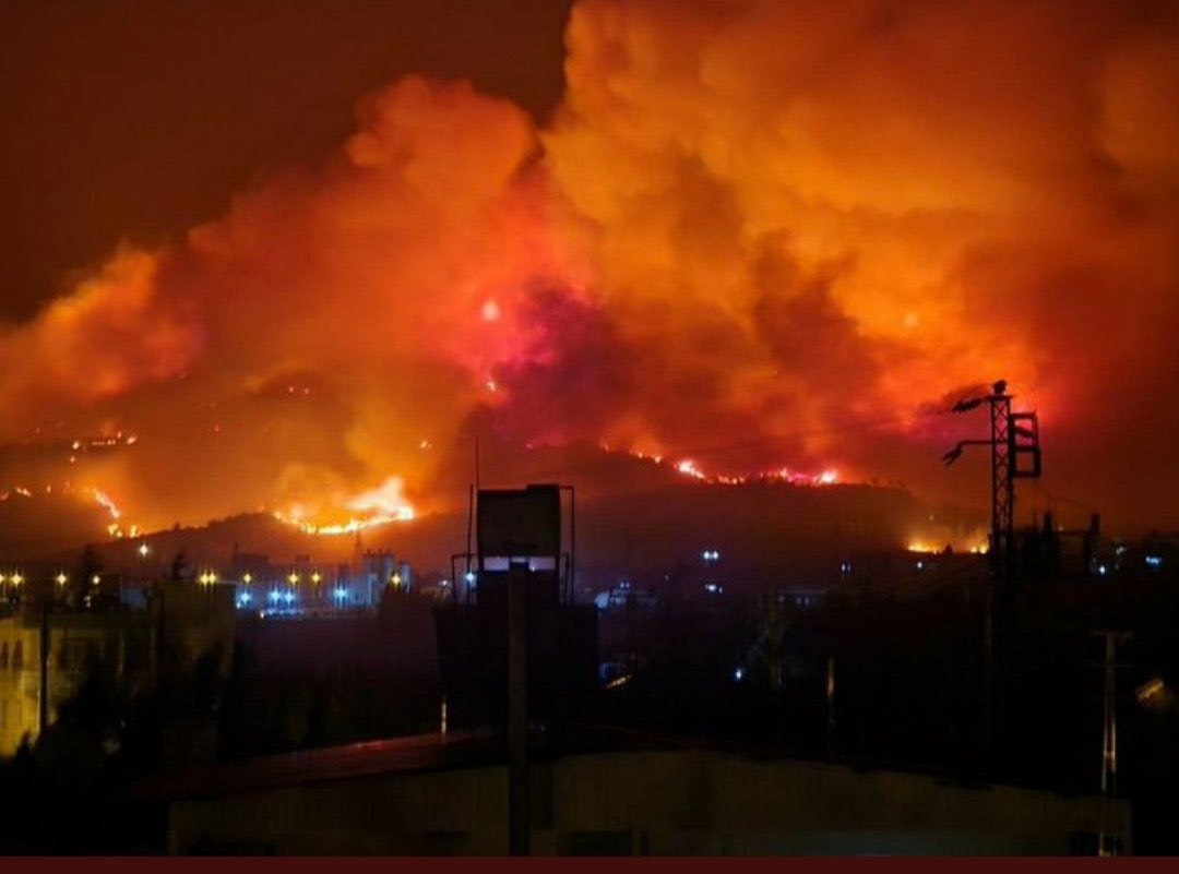 Avustralyadaki yangını her gün haber yapan medya, Türk topraklarında bulunan Hatay’daki yangına sessiz kalıyor. Bu yangını çıkaranlara, oradaki canların ölümüne sebep olanlara ve bu olaya sessiz kalanlara Yazıklar olsun. Kininiz de boğulun.. #HatayYanıyor