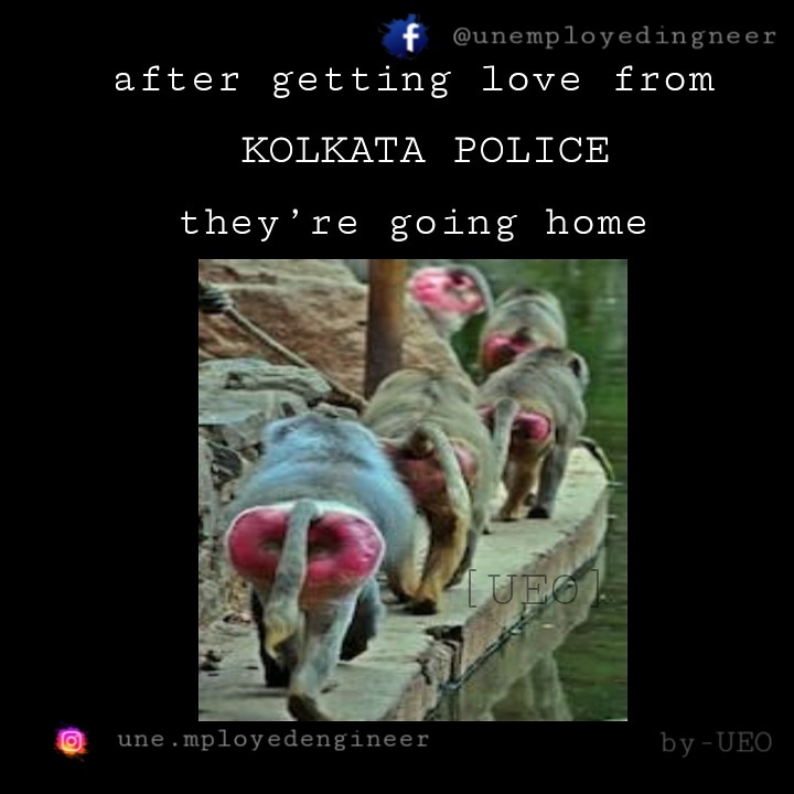 UnemployedEng14's tweet photo. Who are they? 
2 days ago I saw them. Now am very much worried about their wounds. Hope we will see them again 😅
#kolkatapolice  #westbengalpolice  nice batting 🤪👏👏👏👏👏 https://t.co/kX7067a0DP