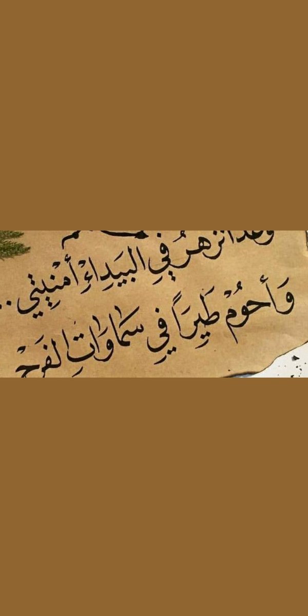 سرور.. tweet media