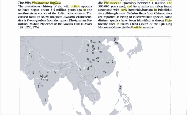 In reality, Buffaloes have been in India since 3.5 million years.That was even BEFORE Humans lived in IndiaSource: The Cambridge World History of Food (Kenneth F. Kiple,2000)